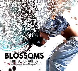 极品PS动作－花瓣抽离(含高清视频教程)：Blossoms Photoshop Action